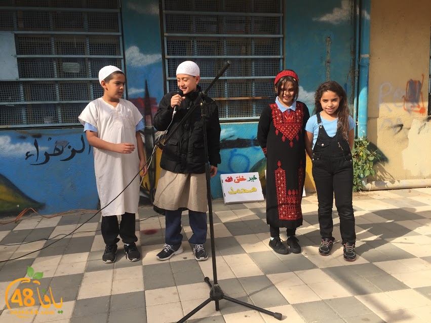 zhra2 ibtidiya2a (14).JPG